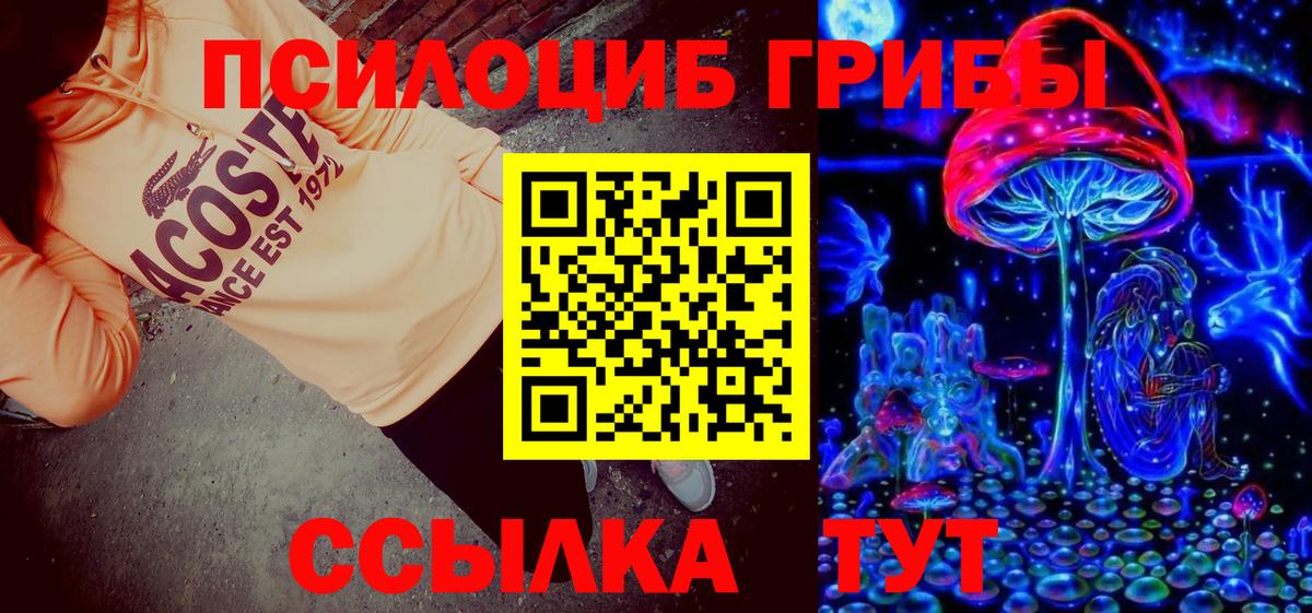 Галлюциногенные грибы MAGIC MUSHROOMS  Вход с VPN  Галлюциногенные грибы Psilocybe  Углич 