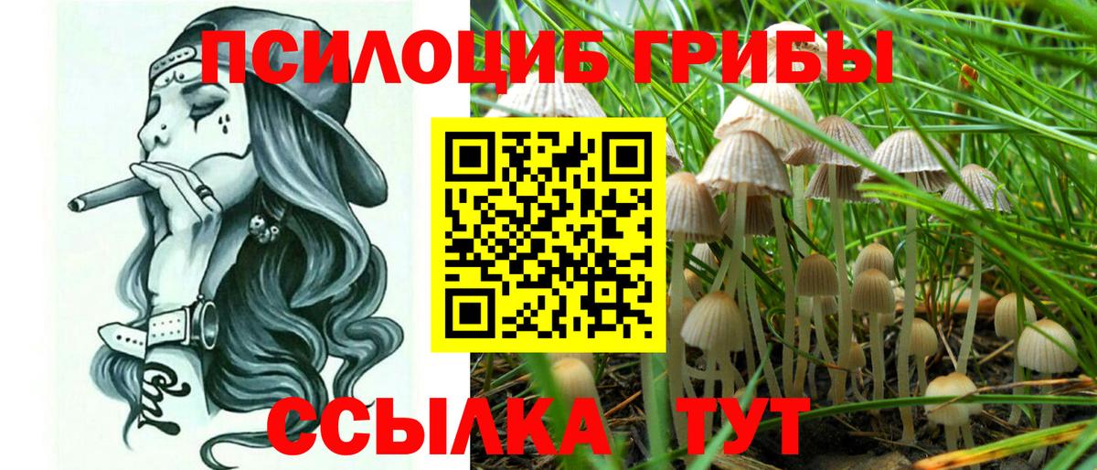 Псилоцибиновые грибы Cubensis Углич