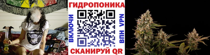 где можно купить   Углич  МАРИХУАНА Amnesia 